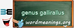 WordMeaning blackboard for genus gallirallus